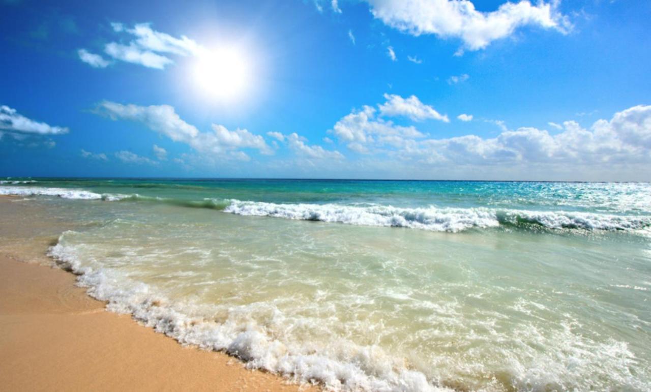Anita B16 Studio Sunny Beach Exterior photo